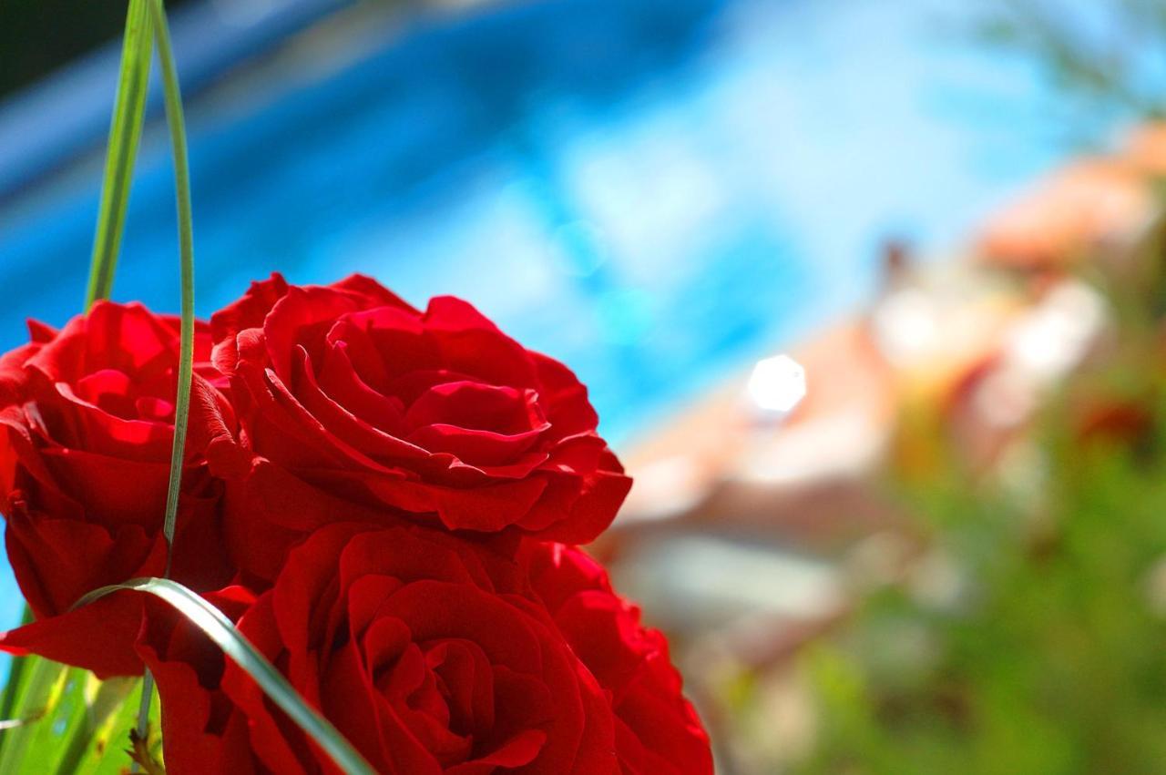 Casa Bela Moura, Boutique Hotel & Wine 포르체스 외부 사진