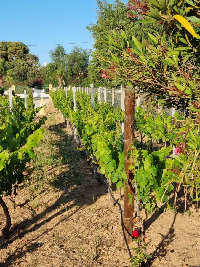Casa Bela Moura, Boutique Hotel & Wine 포르체스 외부 사진